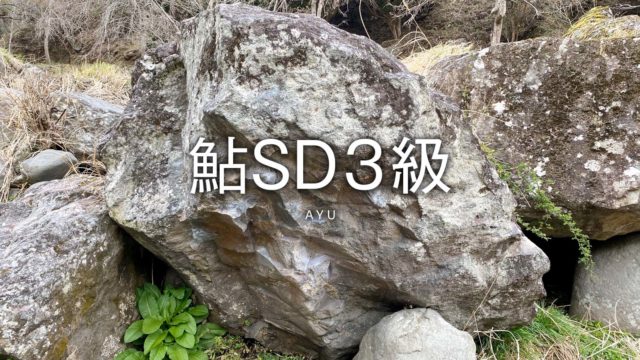 鮎SD３級