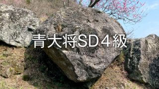 青大将SD４級