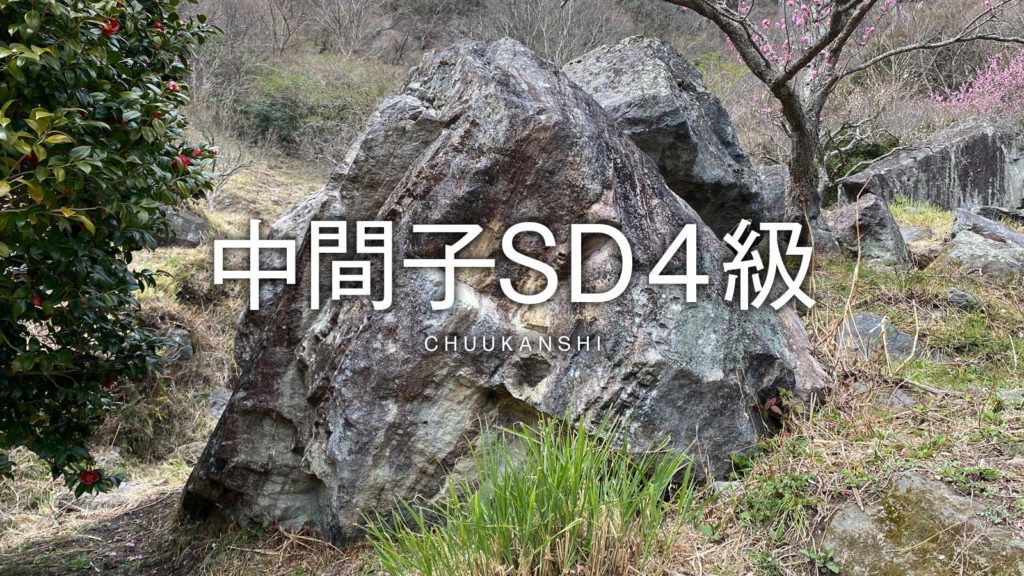 中間子SD４級